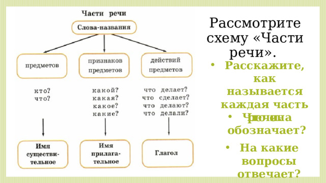 Рассмотрите схему «Части речи». Расскажите, как называется каждая часть речи. Что она обозначает? На какие вопросы отвечает? 