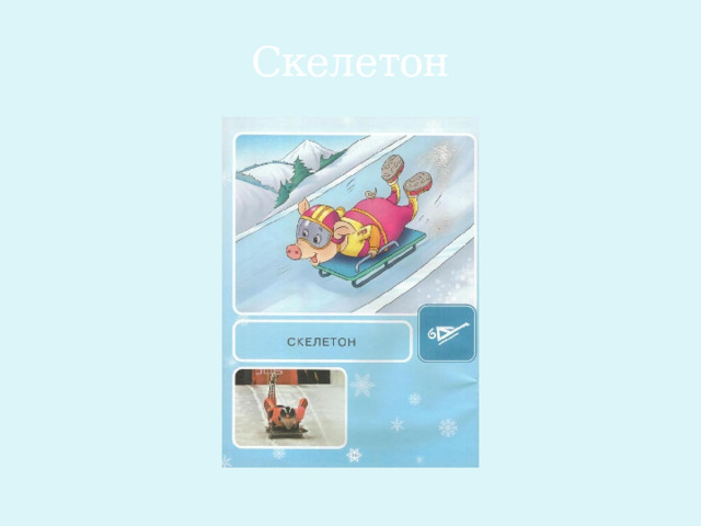 Скелетон 