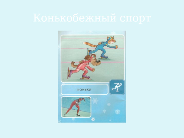 Конькобежный спорт 
