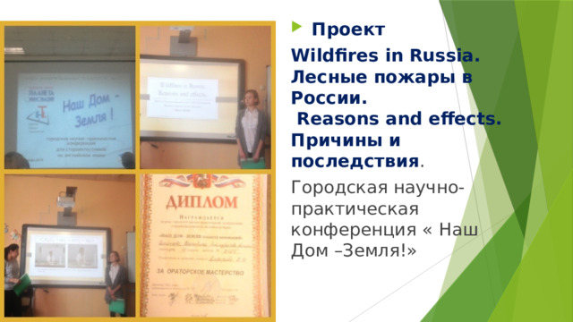  Проект Wildfires in Russia.  Лесные пожары в России.  Reasons and effects.  Причины и последствия . Городская научно- практическая конференция « Наш Дом –Земля!» 