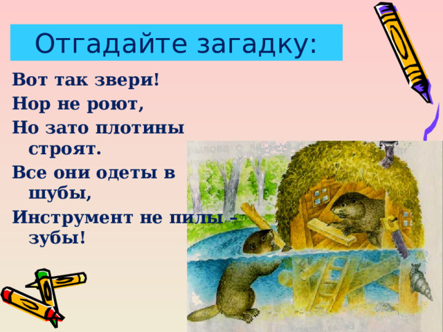 Отгадайте загадку: Вот так звери! Нор не роют, Но зато плотины строят. Все они одеты в шубы, Инструмент не пилы – зубы! 