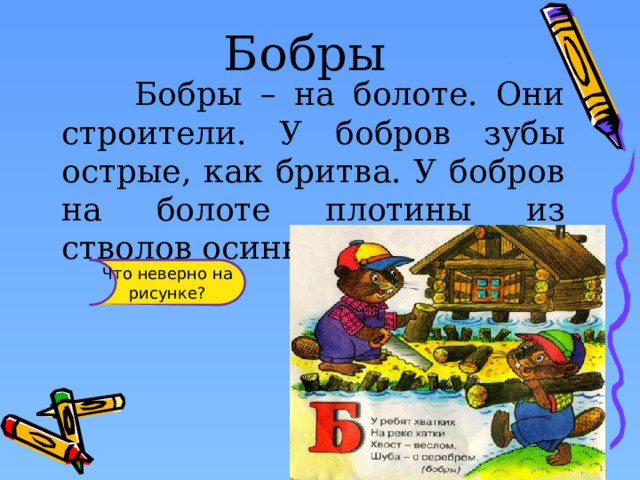 Бобры  Бобры – на болоте. Они строители. У бобров зубы острые, как бритва. У бобров на болоте плотины из стволов осины. Что неверно на рисунке? 