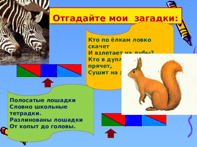 Отгадайте мои загадки: Кто по ёлкам ловко скачет И взлетает на дубы? Кто в дупле орешки прячет, Сушит на зиму грибы? Полосатые лошадки Словно школьные тетрадки. Разлинованы лошадки От копыт до головы. 
