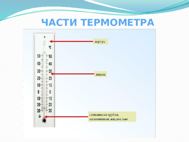 ЧАСТИ ТЕРМОМЕТРА 