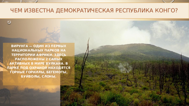 Чем известна Демократическая Республика Конго? Вирунга — один из первых национальных парков на территории Африки. Здесь расположены 2 самых активных в мире вулкана. В парке под охраной находятся горные гориллы, бегемоты, буйволы, слоны. 