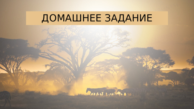 Домашнее задание 