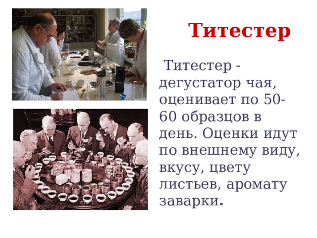  Титестер  Титестер - дегустатор чая, оценивает по 50-60 образцов в день. Оценки идут по внешнему виду, вкусу, цвету листьев, аромату заварки . 