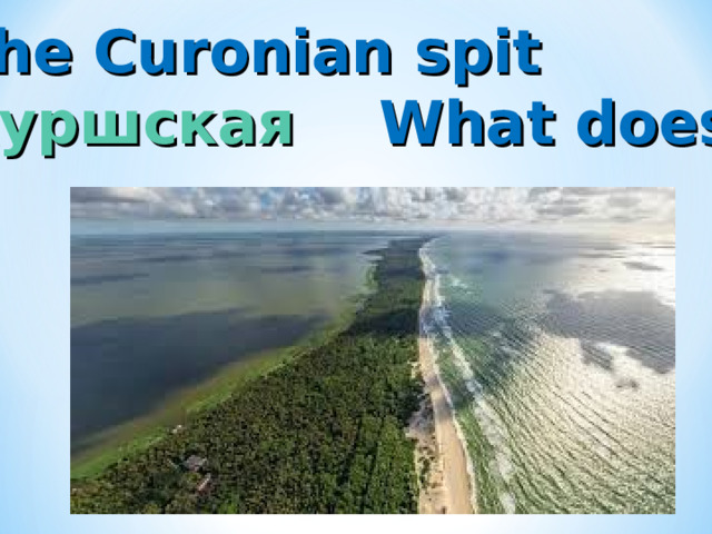 The Curonian spit Куршская What does my MOTHERLAND  begin with? коса 