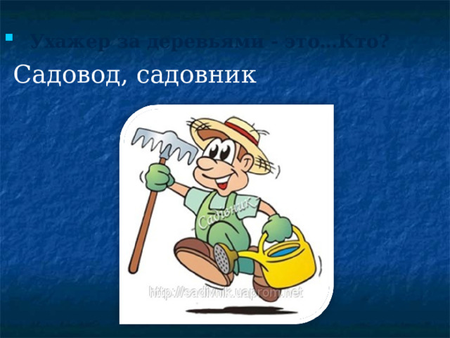 Ухажер за деревьями - это…Кто?   Садовод, садовник 