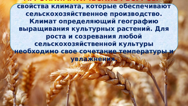 АГРОКЛИМАТИЧЕСКИЕ РЕСУРСЫ – свойства климата, которые обеспечивают сельскохозяйственное производство. Климат определяющий географию выращивания культурных растений. Для роста и созревания любой сельскохозяйственной культуры необходимо свое сочетание температуры и увлажнения. 