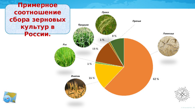 Примерное соотношение сбора зерновых культур в России. 