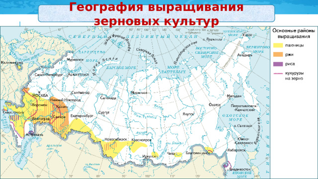 География выращивания зерновых культур 