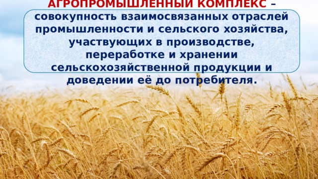 АГРОПРОМЫШЛЕННЫЙ КОМПЛЕКС – совокупность взаимосвязанных отраслей промышленности и сельского хозяйства, участвующих в производстве, переработке и хранении сельскохозяйственной продукции и доведении её до потребителя. 