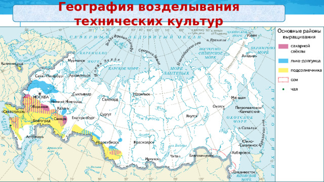 География возделывания технических культур 