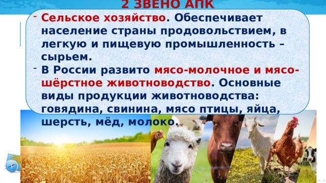2 ЗВЕНО АПК Сельское хозяйство . Обеспечивает население страны продовольствием, в легкую и пищевую промышленность – сырьем. В России развито мясо-молочное и мясо-шёрстное животноводство . Основные виды продукции животноводства: говядина, свинина, мясо птицы, яйца, шерсть, мёд, молоко. 