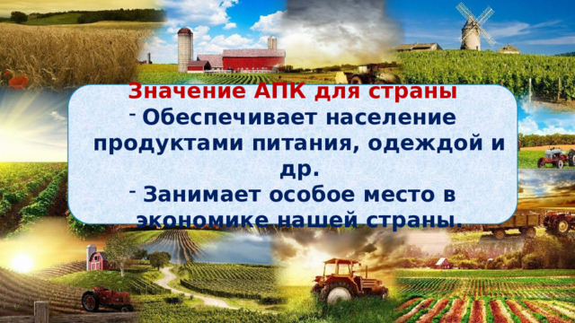 Значение АПК для страны Обеспечивает население продуктами питания, одеждой и др. Занимает особое место в экономике нашей страны. 