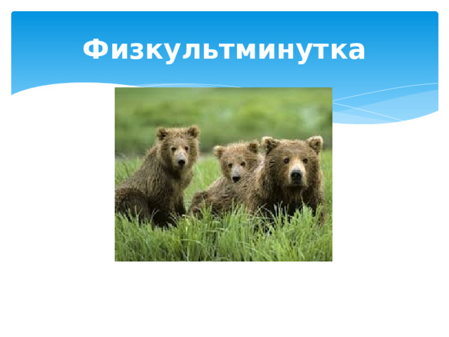 Физкультминутка 