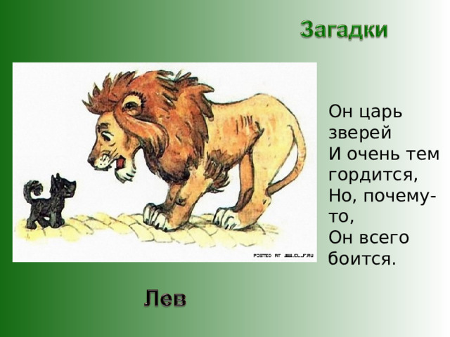 Он царь зверей И очень тем гордится, Но, почему-то, Он всего боится. 