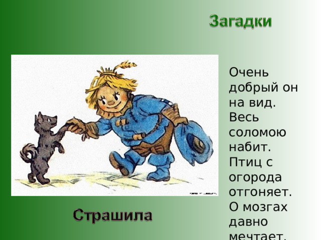 Очень добрый он на вид. Весь соломою набит. Птиц с огорода отгоняет. О мозгах давно мечтает. 