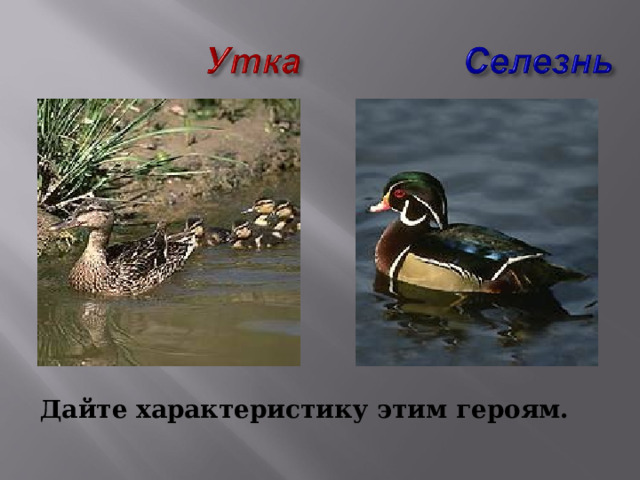  Дайте характеристику этим героям.  