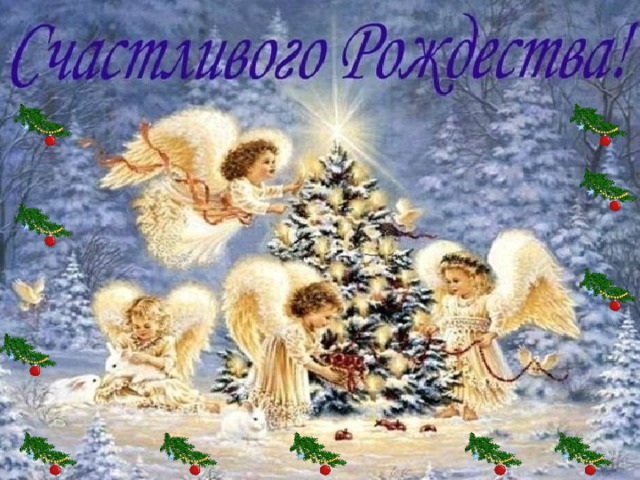 Есть праздник, что светлее всех других,  Есть день, когда весь мир добром лучится -  Ведь в Рождество все может приключиться,  Чтоб изменить теченье дней иных...   День дарит веру всем, надежду и любовь  На то, что будем жить в добре и счастье.  Спеши творить добро, открой души покров  И помолись за всех, кто может быть несчастлив. 