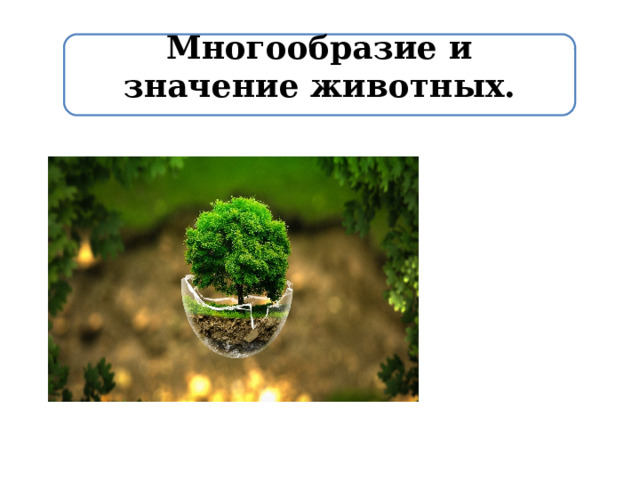 Многообразие и значение животных. 