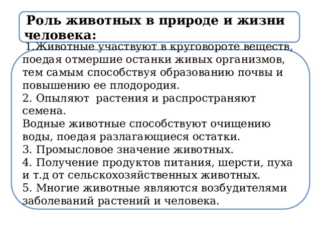  Роль животных в природе и жизни человека:   1.Животные участвуют в круговороте веществ, поедая отмершие останки живых организмов, тем самым способствуя образованию почвы и повышению ее плодородия. 2. Опыляют растения и распространяют семена. Водные животные способствуют очищению воды, поедая разлагающиеся остатки. 3. Промысловое значение животных. 4. Получение продуктов питания, шерсти, пуха и т.д от сельскохозяйственных животных. 5. Многие животные являются возбудителями заболеваний растений и человека. 