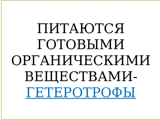 ПИТАЮТСЯ ГОТОВЫМИ ОРГАНИЧЕСКИМИ ВЕЩЕСТВАМИ- ГЕТЕРОТРОФЫ 