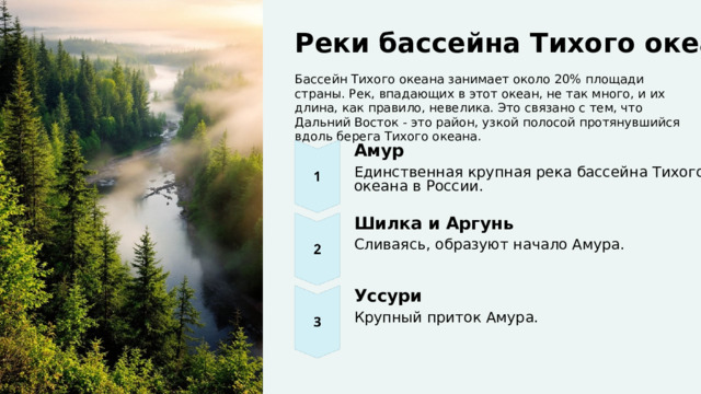  Реки бассейна Тихого океана Бассейн Тихого океана занимает около 20% площади страны. Рек, впадающих в этот океан, не так много, и их длина, как правило, невелика. Это связано с тем, что Дальний Восток - это район, узкой полосой протянувшийся вдоль берега Тихого океана. Амур Единственная крупная река бассейна Тихого океана в России. Шилка и Аргунь Сливаясь, образуют начало Амура. Уссури Крупный приток Амура. 