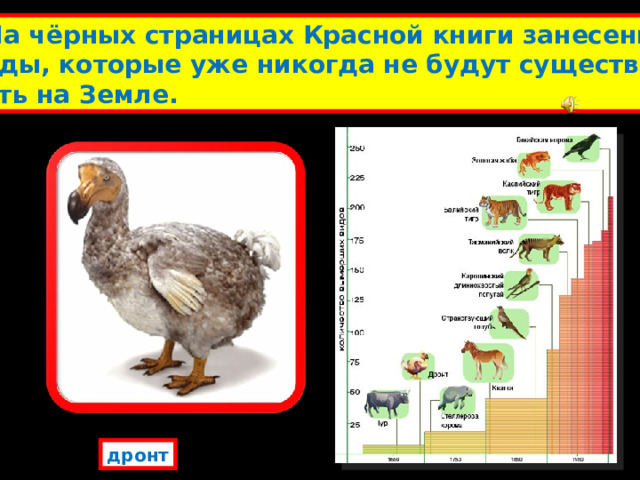  На чёрных страницах Красной книги занесены виды, которые уже никогда не будут существо- вать на Земле. дронт 