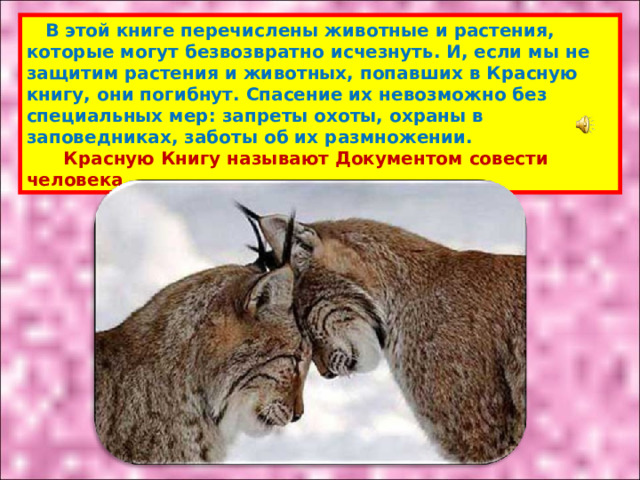 В этой книге перечислены животные и растения, которые могут безвозвратно исчезнуть. И, если мы не защитим растения и животных, попавших в Красную книгу, они погибнут. Спасение их невозможно без специальных мер: запреты охоты, охраны в заповедниках, заботы об их размножении.  Красную Книгу называют Документом совести человека. 