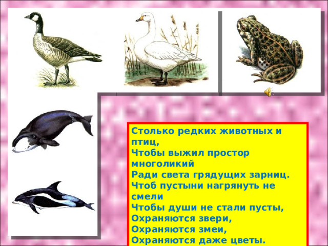 Столько редких животных и птиц, Чтобы выжил простор многоликий Ради света грядущих зарниц. Чтоб пустыни нагрянуть не смели Чтобы души не стали пусты, Охраняются звери, Охраняются змеи, Охраняются даже цветы. “ Красная книга” – Красная! Значит, природа в опасности! 