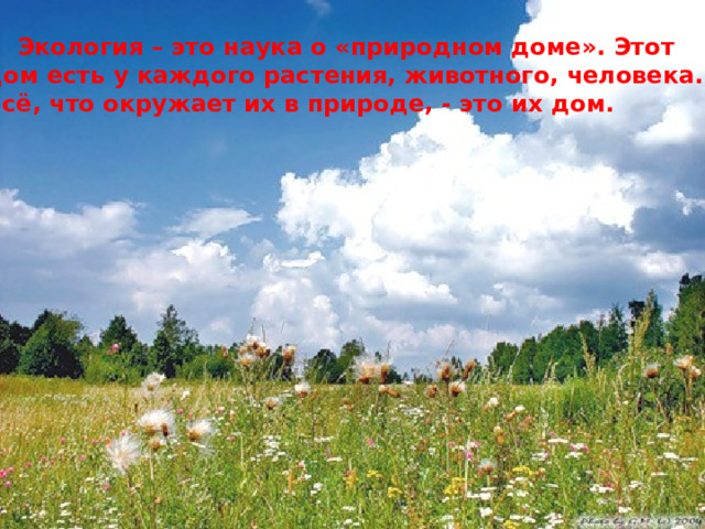  Экология – это наука о «природном доме». Этот дом есть у каждого растения, животного, человека. Всё, что окружает их в природе, - это их дом. 