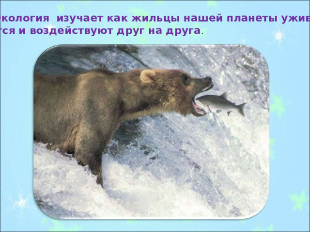  Экология изучает как жильцы нашей планеты ужива- ются и воздействуют друг на друга . 