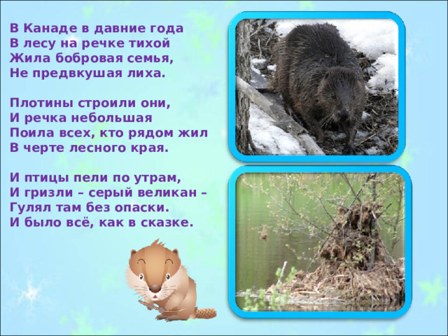В Канаде в давние года В лесу на речке тихой Жила бобровая семья, Не предвкушая лиха.  Плотины строили они, И речка небольшая Поила всех, кто рядом жил В черте лесного края.  И птицы пели по утрам, И гризли – серый великан – Гулял там без опаски. И было всё, как в сказке. 