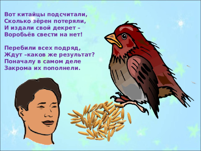 Вот китайцы подсчитали, Сколько зёрен потеряли, И издали свой декрет – Воробьёв свести на нет!  Перебили всех подряд, Ждут –каков же результат? Поначалу в самом деле Закрома их пополнели. 