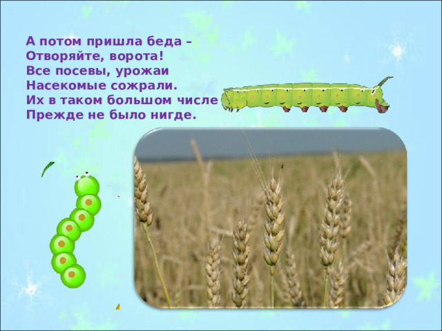 А потом пришла беда – Отворяйте, ворота! Все посевы, урожаи Насекомые сожрали. Их в таком большом числе Прежде не было нигде. 