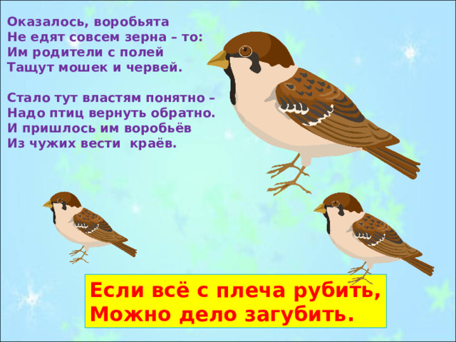 Оказалось, воробьята Не едят совсем зерна – то: Им родители с полей Тащут мошек и червей.  Стало тут властям понятно – Надо птиц вернуть обратно. И пришлось им воробьёв Из чужих вести краёв.   Если всё с плеча рубить, Можно дело загубить. 