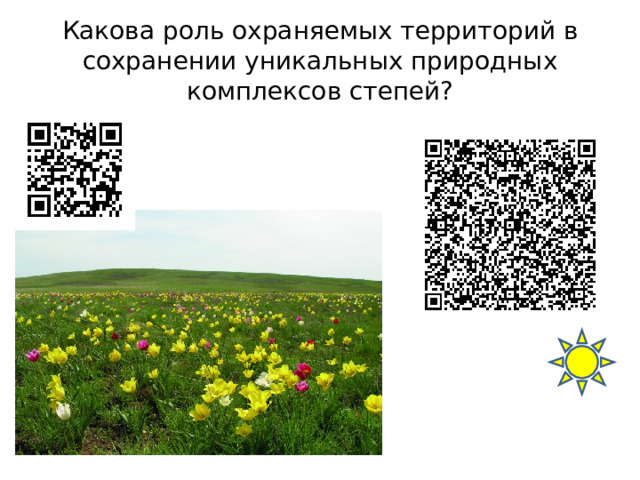 Какова роль охраняемых территорий в сохранении уникальных природных комплексов степей? 