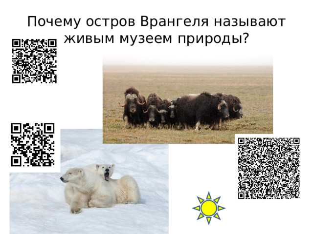 Почему остров Врангеля называют живым музеем природы? 