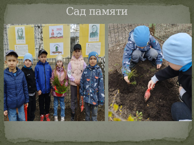 Сад памяти 