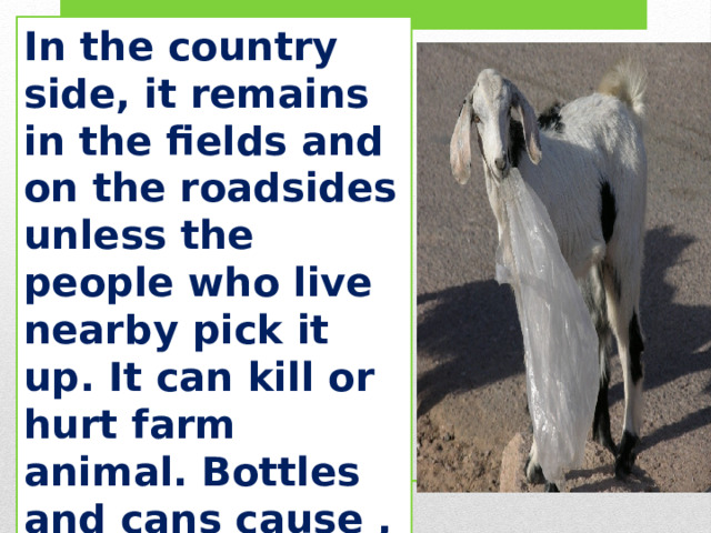 In the country side, it remains in the fields and on the roadsides unless the people who live nearby pick it up. It can kill or hurt farm animal. Bottles and cans cause , and the animals can eat polythene bags and die, or put their heads in them and  suffocate. 