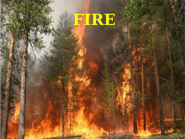 FIRE 