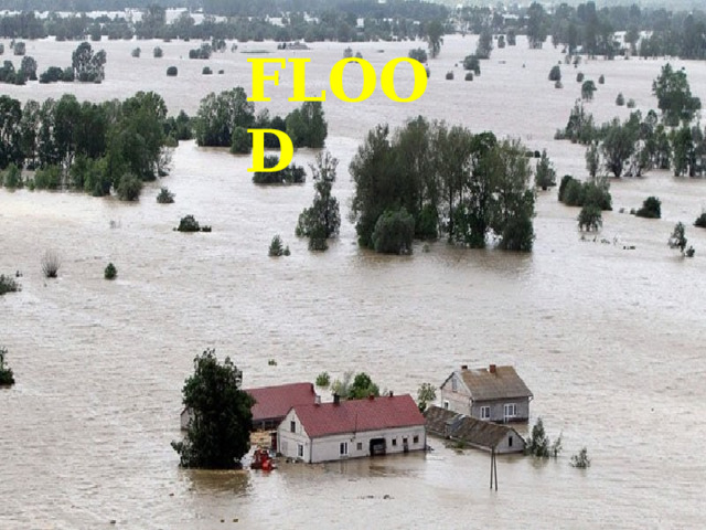 FLOOD 