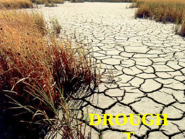 DROUGHT 