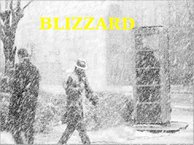 BLIZZARD 
