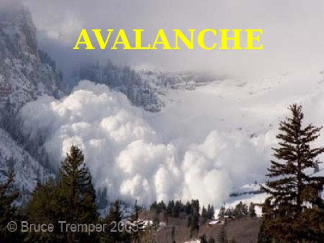 AVALANCHE 
