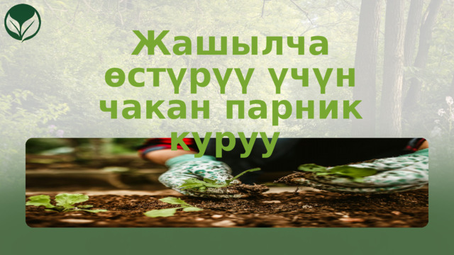 Жашылча өстүрүү үчүн чакан парник куруу 