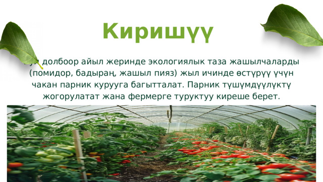 Киришүү Бул долбоор айыл жеринде экологиялык таза жашылчаларды (помидор, бадыраң, жашыл пияз) жыл ичинде өстүрүү үчүн чакан парник курууга багытталат. Парник түшүмдүүлүктү жогорулатат жана фермерге туруктуу киреше берет. 