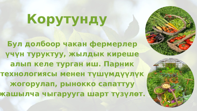 Корутунду Бул долбоор чакан фермерлер үчүн туруктуу, жылдык киреше алып келе турган иш. Парник технологиясы менен түшүмдүүлүк жогорулап, рынокко сапаттуу жашылча чыгарууга шарт түзүлөт. 